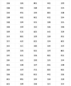 帶玉字的男孩名字大全
