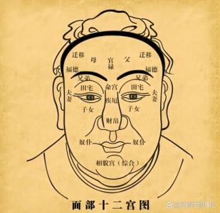 金自在看相——五行人相