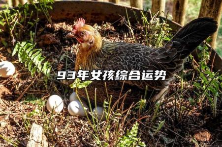 93年女孩綜合運勢如何