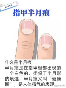 手相分析手指甲半月痕