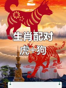屬虎和屬狗三合 虎年跟什么屬相適合