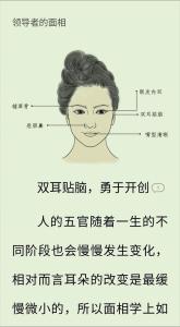 上司的面相分析是否好相處