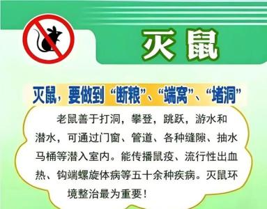 屬鼠人不能犯的禁忌