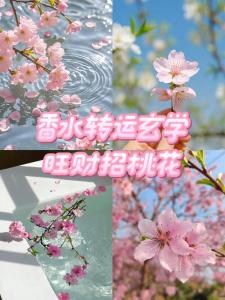 幫你“招惹”桃花的好風水