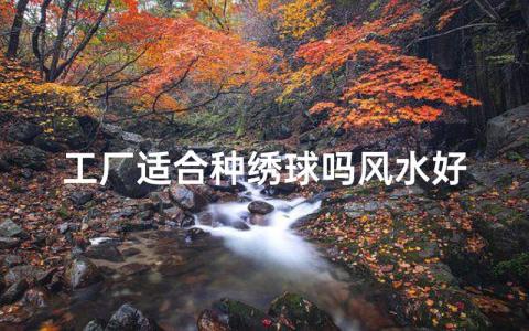 廠里面種植什么風(fēng)水好