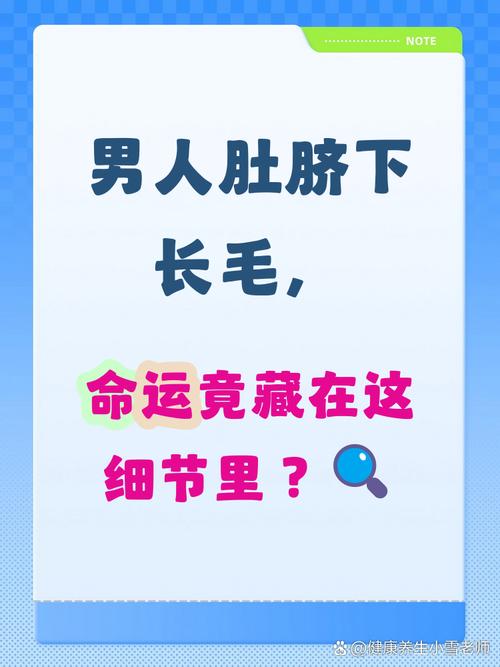 腹部的肚臍周圍長毛什么命相