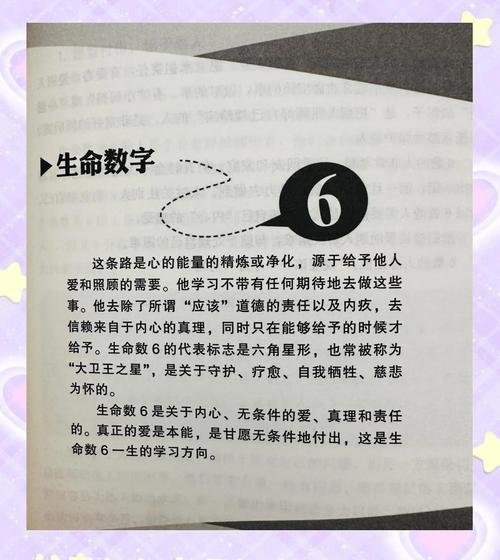 生命靈數6適合什么工作