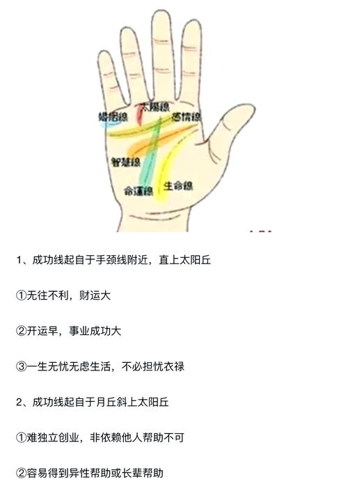 女人事業線分析 女人掌紋事業線