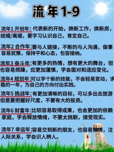 如何用生命靈數流年