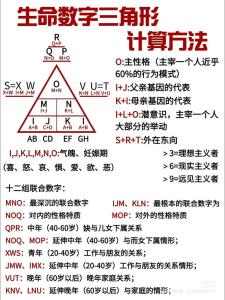 生命靈數可以推運嗎
