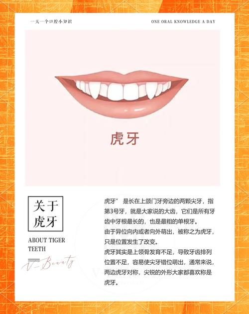 面相虎牙分析