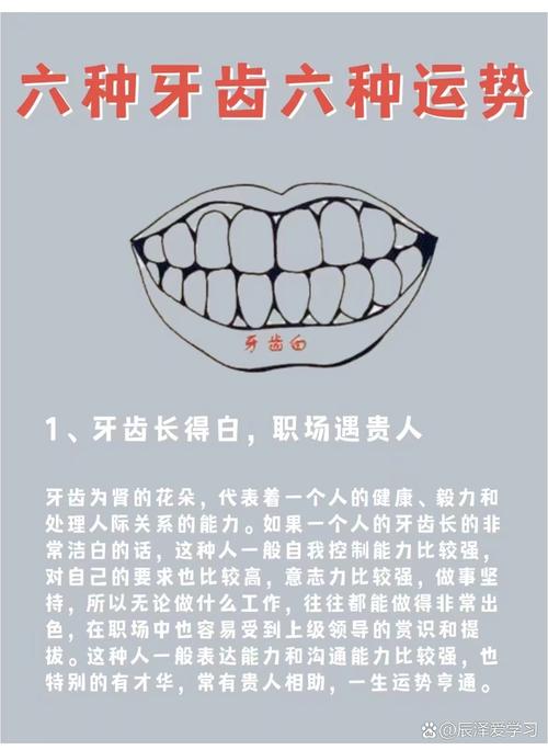 牙齒看相：從牙齒的形態看人的性格和命運