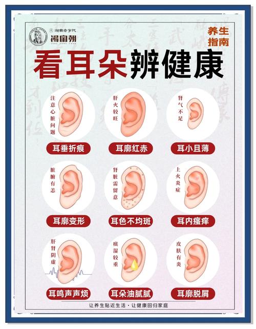 耳朵看相：耳垂小的人性格及運勢