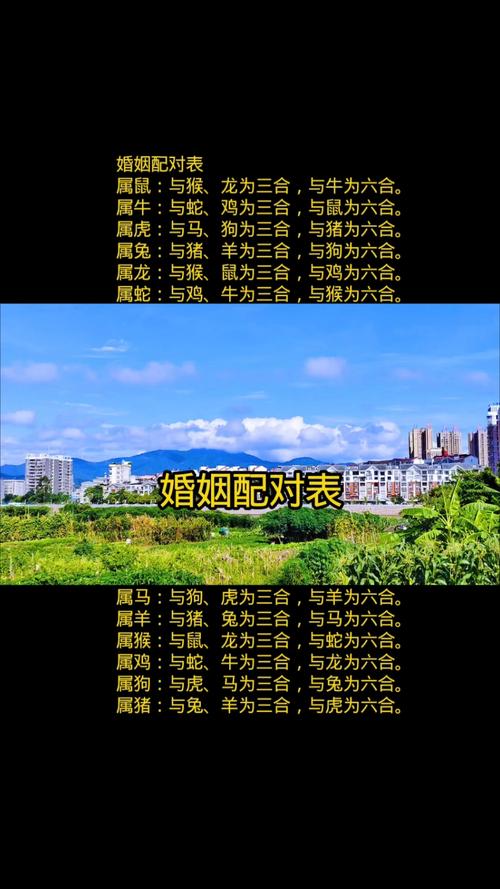 男生女生配：從面相看男小女大的幸福婚配