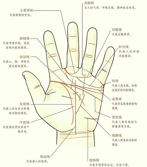 手相障礙線，障礙線圖解，手相障礙線算命圖解