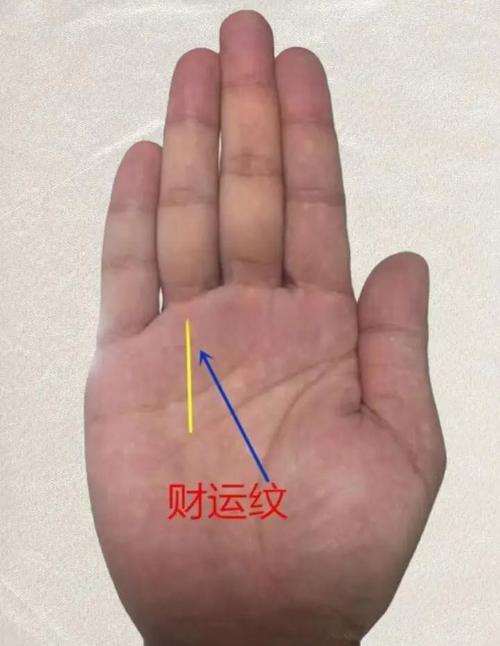 注定當(dāng)大老板的手相 錢(qián)財(cái)紋多且密麻