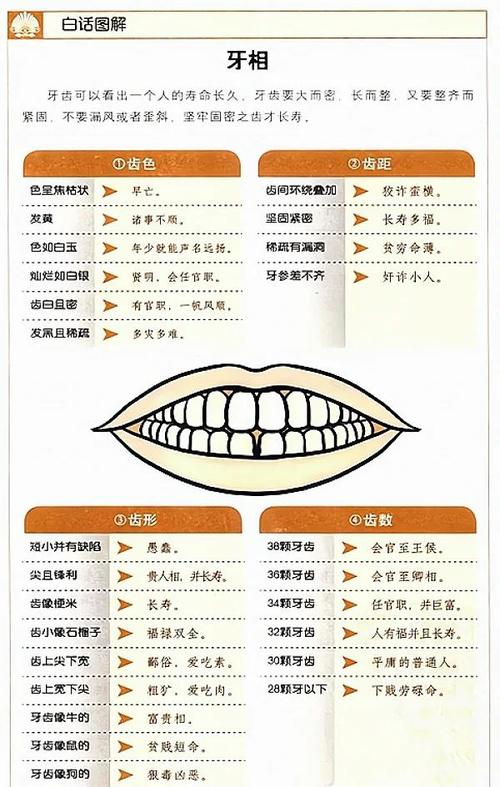 牙齒看相：正確的從牙齒看人的性格及運勢