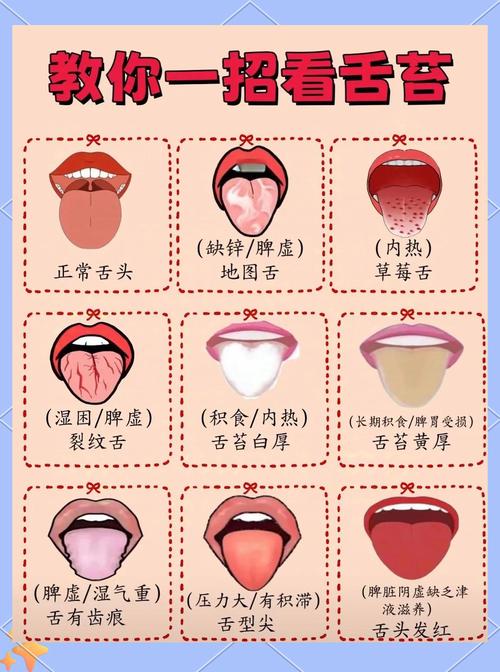從舌頭看人生運勢-從舌頭看出你人生機緣