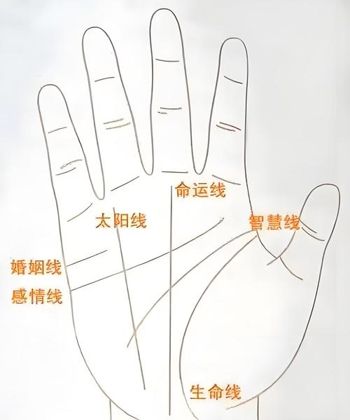 手相太陽線，太陽線圖解，手相太陽線算命圖解