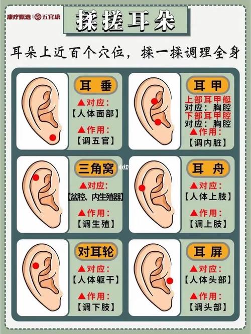 耳朵和運勢的關系