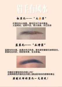 什么樣的眉毛好？眉毛長好不好