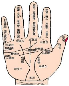 看手相算命：從五指間距看你的個性能力