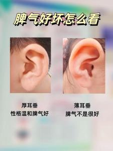 耳朵沒耳垂的人一定沒福嗎 分析耳朵與命運(yùn)的關(guān)系