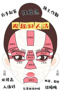 如何從面相（眉毛、臉形與眼睛）看婚姻成敗