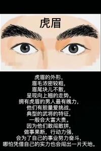 虎眉男人的命運