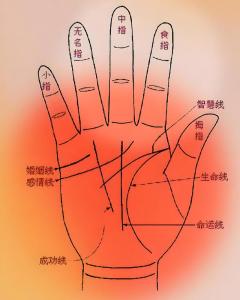 手相怎么看財運？有什么樣手相的人最招財