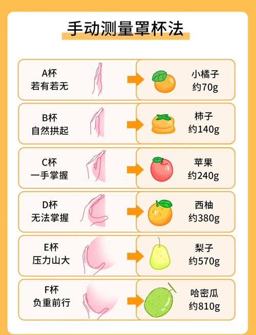 女性胸部大小看幸福指數