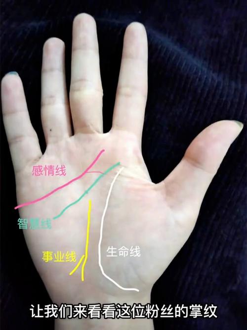 注定事業(yè)有成的手相