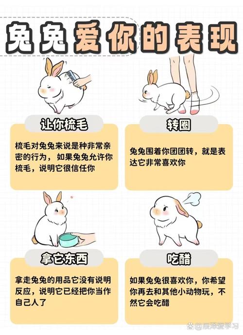屬兔人愛上你的表現 屬兔人的擇偶標準