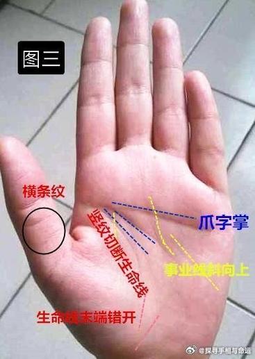 原始手這種手相好嗎
