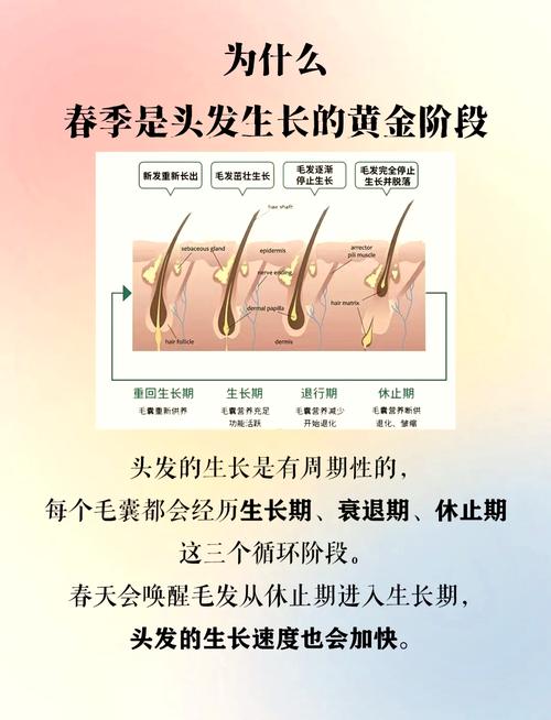 頭發解析人的一生命運