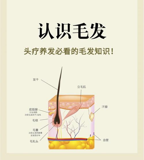 身體毛發(fā)解讀你的命運(yùn)