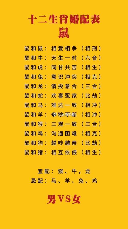 屬鼠人婚姻配對表 屬鼠正緣出現在哪年