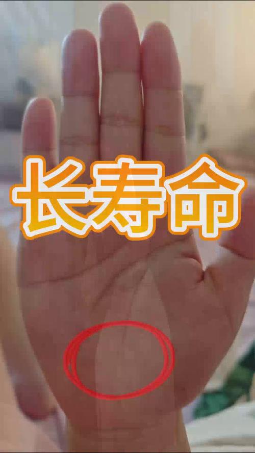 長壽的手相到底長啥樣