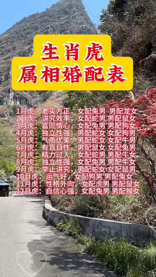 屬虎人婚姻配對表 屬虎正緣出現在哪年