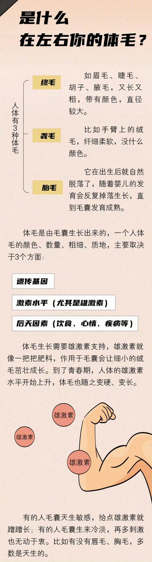 身體毛發(fā)密集對運勢的影響