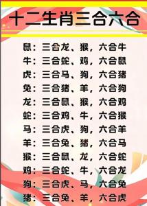 屬豬人一生三個貴人 豬婆婆和兔媳婦合不合