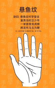 手上有此紋，定是人中龍鳳，前途不可估量 ！