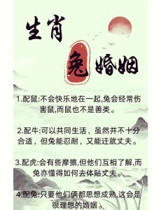 兔最忌諱的三個(gè)屬相 兔媳婦和馬婆婆合不合
