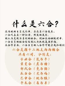 6合卦能復合嗎 婚姻是絕對的