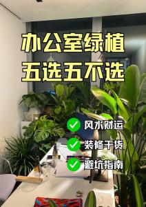 辦公室風水植物的擺放講究