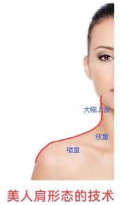 肩膀看你有多少福氣