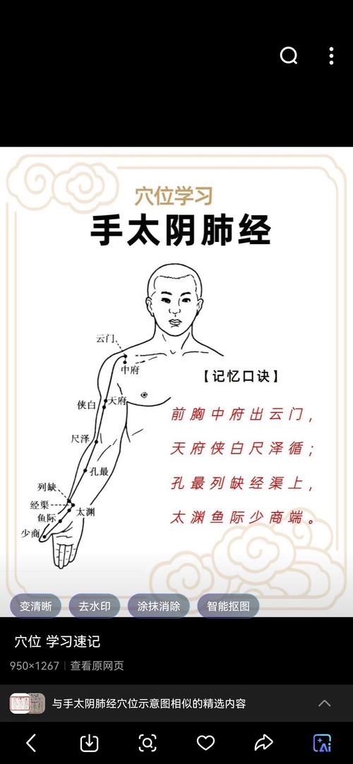 肺經的作用，手部太陰肺經穴位圖詳解