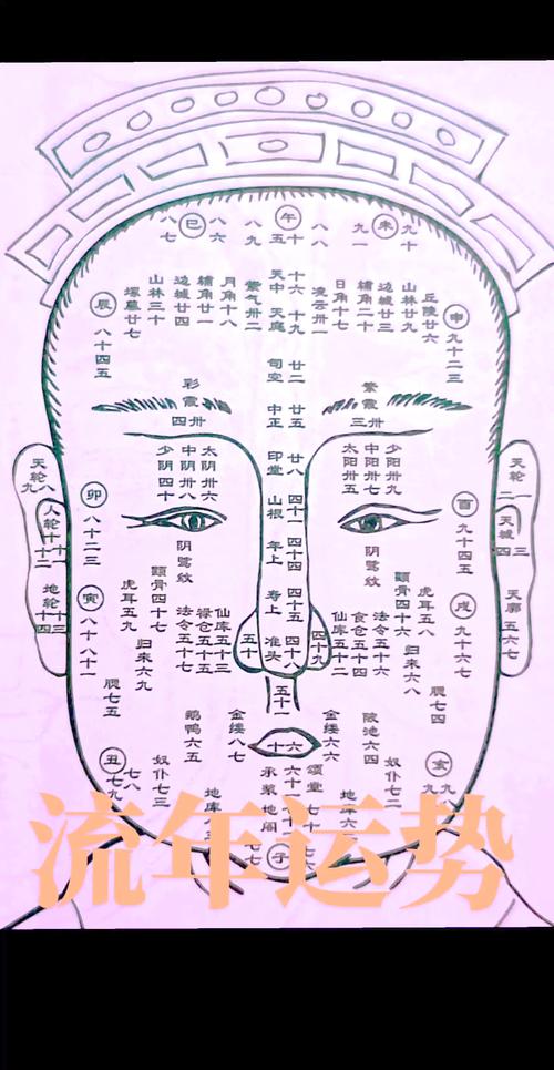 從面相看什么人適合學玄學，帶星宿命的？