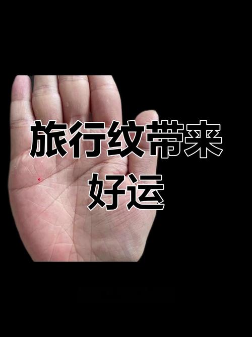 什么叫旅行紋