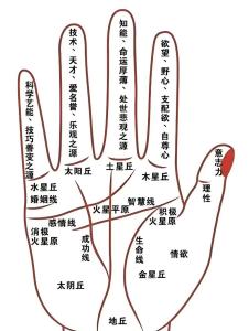 手相研究生命線很長代表什么